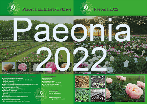 R2 Flowers BV folder Paeonia 2022
